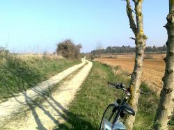voie venant de la Mée, Fourtou ds dos(look the bicycle)